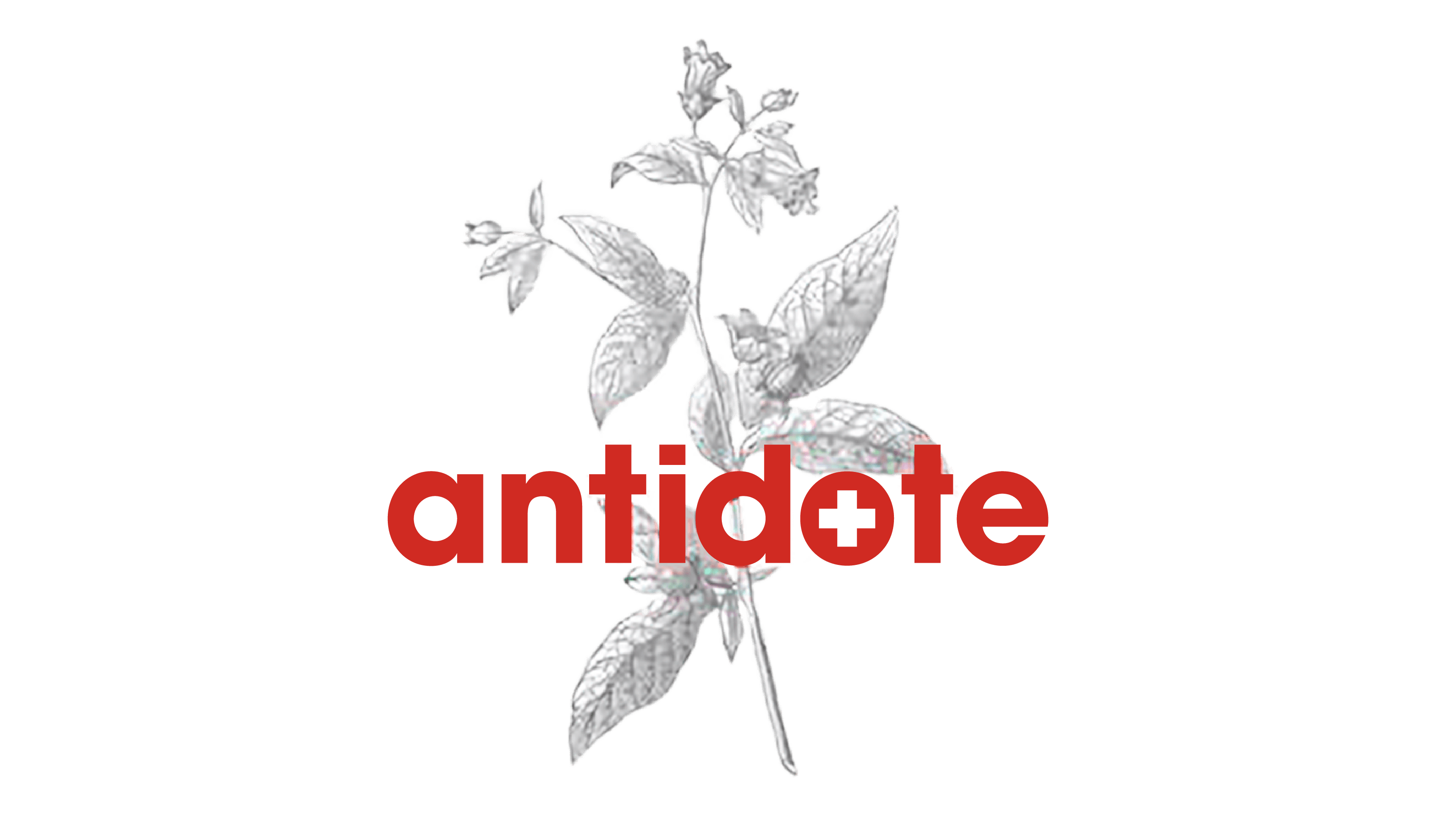 Antidote logo